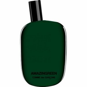 Perfumy Męskie Comme Des Garçons Amazingreen EDP 100 ml